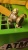 waz_4.jpg